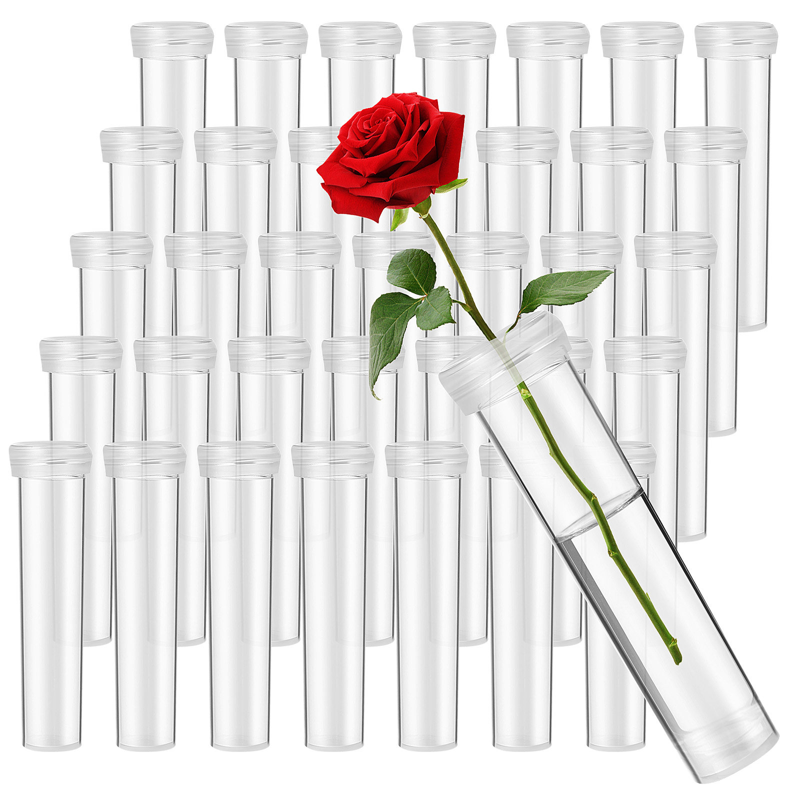 100 Tubes d'Arrosage pour Fleu - The Florist Supply avis et prix