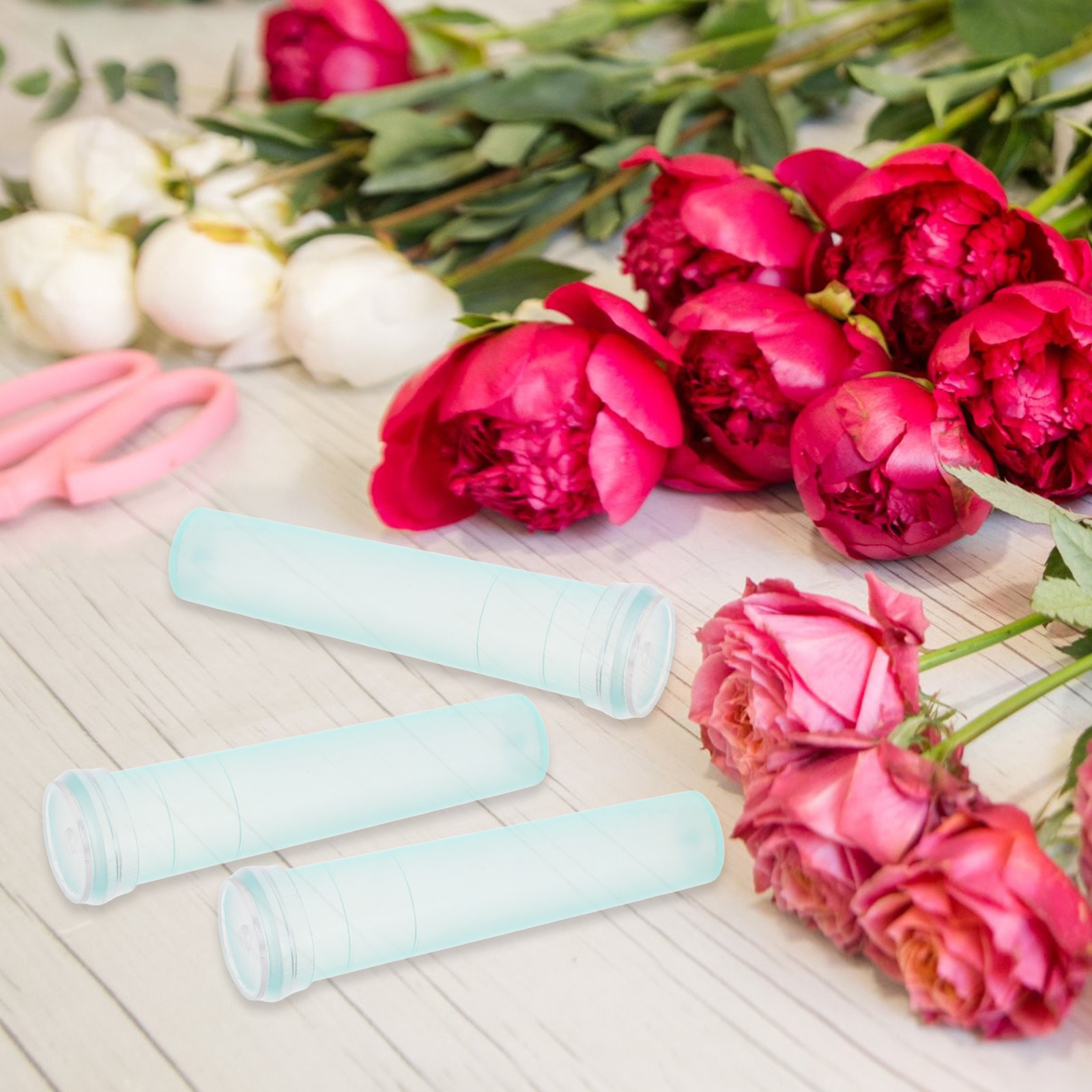 100 Tubes de Conservation des  - The Florist Supply avis et prix